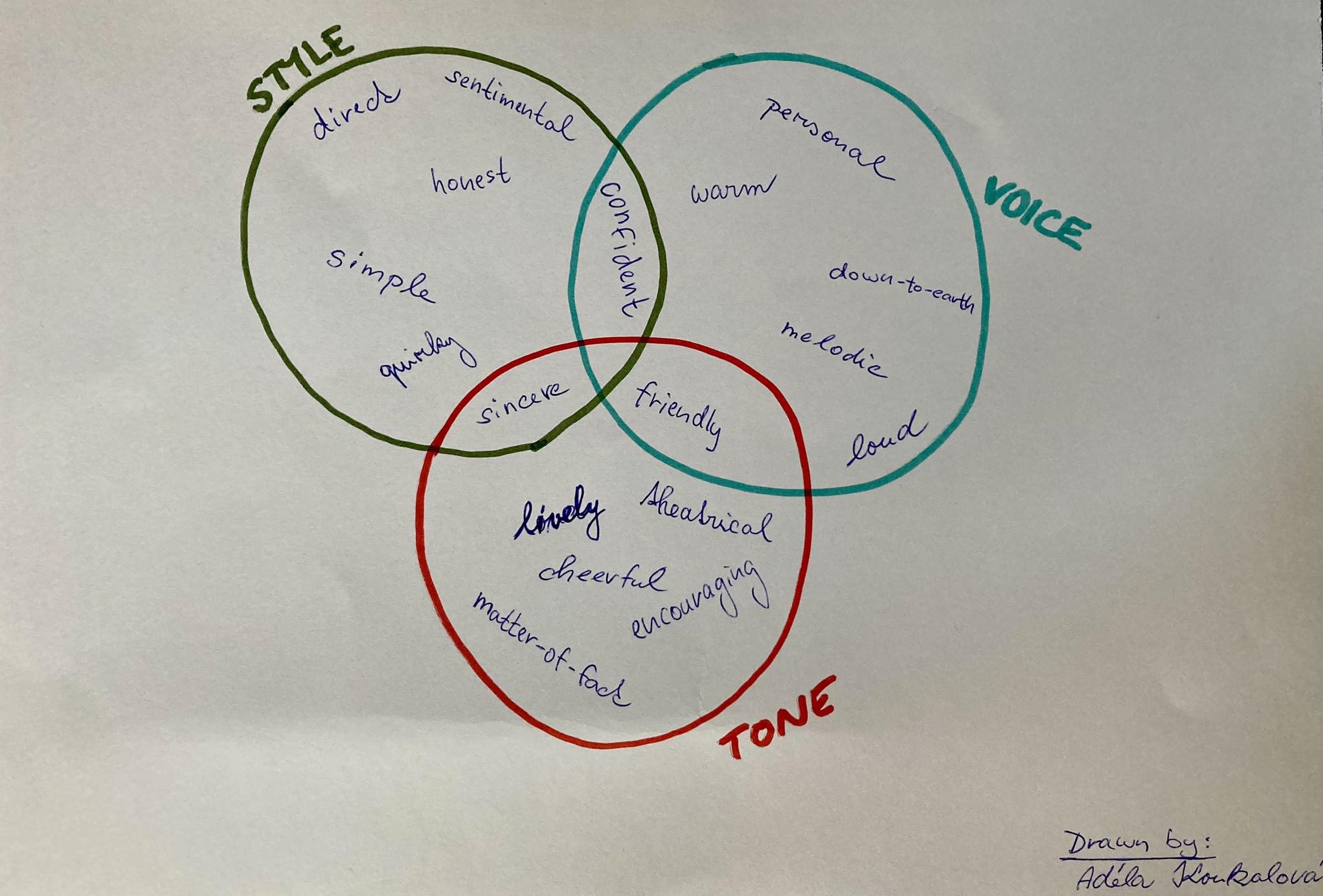 venn diagram first draft drawing