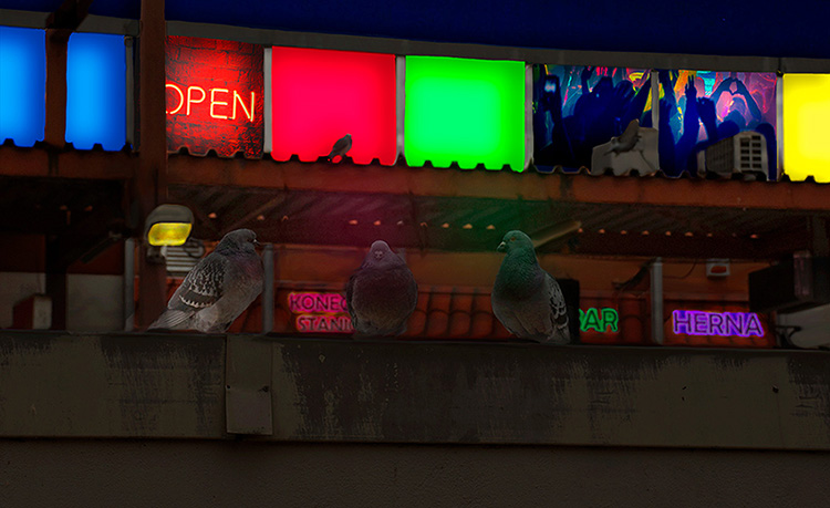 Three pidgeons sitting on top of a bridge in front of a club during a day